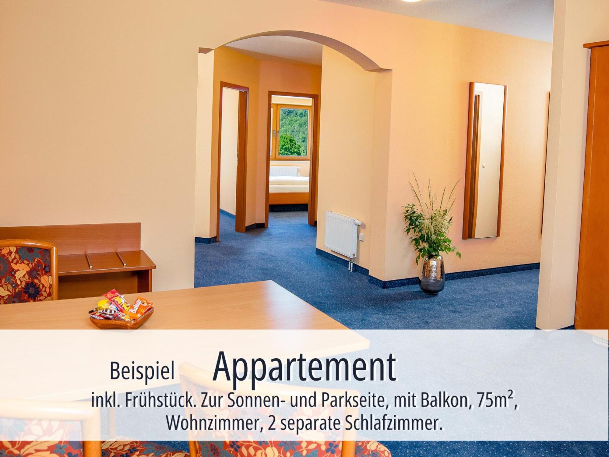 Hotel Am Kurhaus Mit Erstem Ayurveda Center Sachsens - Direkt Am Gesundheitsbad Actinon & Kurpark Bad Schlema Zewnętrze zdjęcie